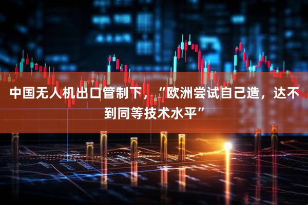 中国无人机出口管制下，“欧洲尝试自己造，达不到同等技术水平”