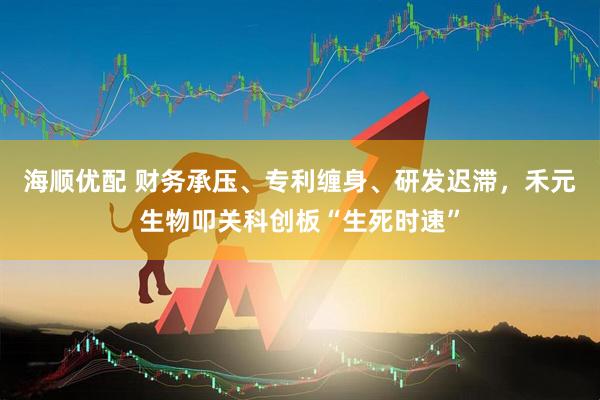 海顺优配 财务承压、专利缠身、研发迟滞，禾元生物叩关科创板“生死时速”