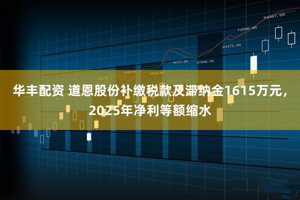 华丰配资 道恩股份补缴税款及滞纳金1615万元，2025年净利等额缩水